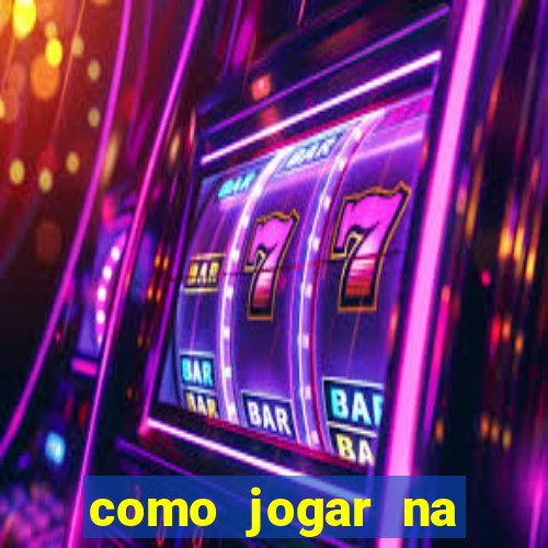 como jogar na lotinha do jogo do bicho